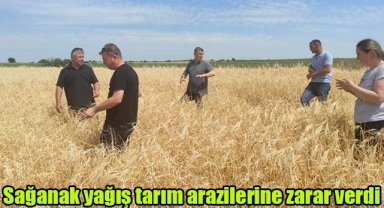 Sağanak yağış tarım arazilerine zarar verdi