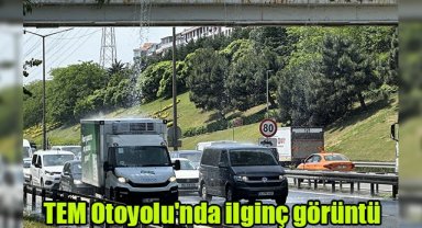 TEM Otoyolu'nda ilginç görüntü