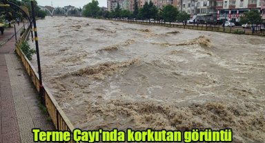 Terme Çayı'nda korkutan görüntü