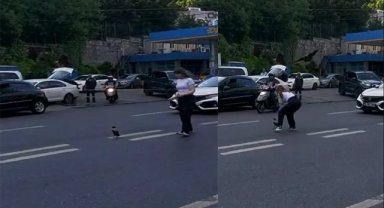 Yardım etmek istedi, karganın saldırısına uğradı