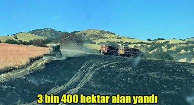 3 bin 400 hektar alan yandı