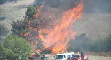 Adana'da orman yangını