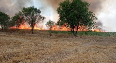 Anız yangını buğday tarlasına sıçradı çiftçinin emeği küle döndü