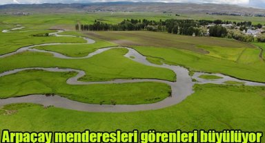Arpaçay menderesleri görenleri büyülüyor