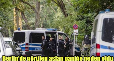 Berlin’de görülen aslan paniğe neden oldu