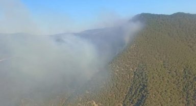 Bolu'da orman yangını