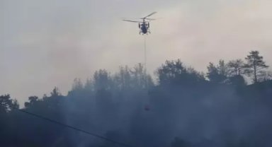 Çanakkale’de orman yangını