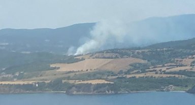 Çanakkale'de orman yangını