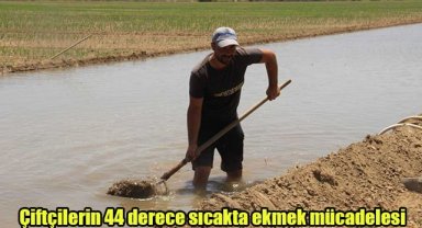 Çiftçilerin 44 derece sıcakta ekmek mücadelesi