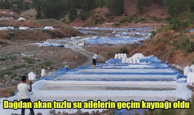 Dağdan akan tuzlu su ailelerin geçim kaynağı oldu