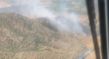 Ekin tarlasında başlayan yangın ormana sıçradı