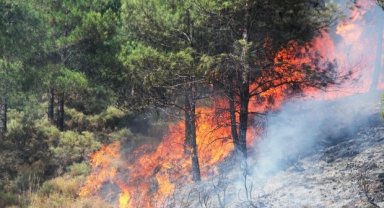 Fethiye'de orman yangını
