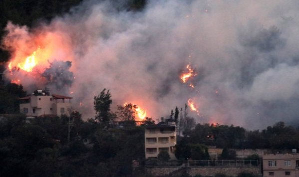 Hatay'da orman yangını