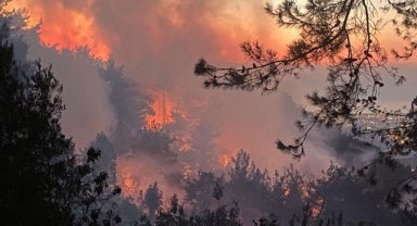 Hatay'da orman yangını: Havadan müdahale tekrardan başladı