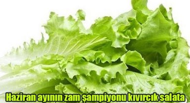 Haziran ayının zam şampiyonu kıvırcık salata
