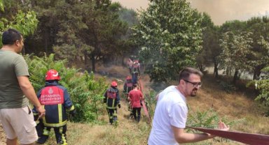 İstanbul’da orman yangını