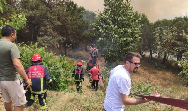 İstanbul’da orman yangını