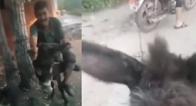 İzmir’de eşeğe eziyete mahkemeden örnek ceza