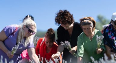 İzmir'de imece usulü lavanta hasadında dayanışma örneği
