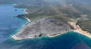 İzmir'de makilik alanda çıkan yangın kontrol altında