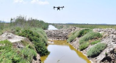 İzmir’de sivrisinek ile dronlu mücadele