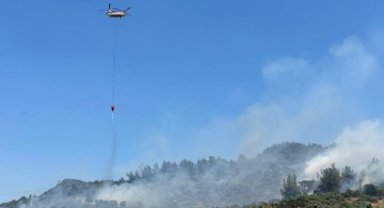 İzmir'de zeytinlikte çıkan yangına havadan ve karadan müdahale
