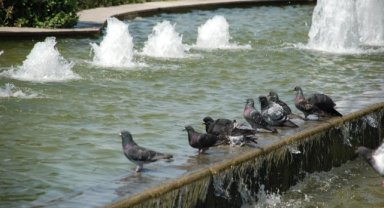 İzmir’e kavurucu sıcaklar geliyor