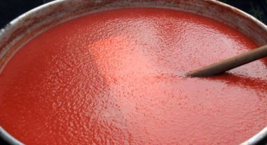 İzmir Efes Selçuk’ta salça zamanı başlıyor