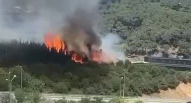Kağıthane Hamidiye Mahallesi'nde ormanlık alanda yangın