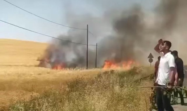 Kozluk'ta 100 dönüm buğday tarlası küle döndü