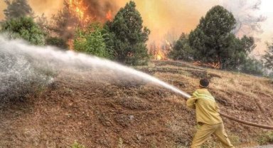 Kütahya'da 9 saat süren yangında 180 hektarlık alan zarar gördü