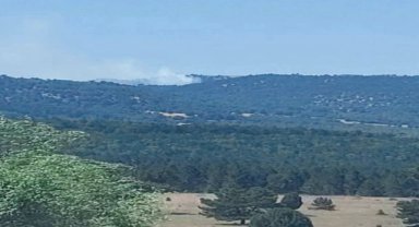 Kütahya'da orman yangını çıktı