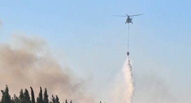 Menderes'teki orman yangını kontrol altında