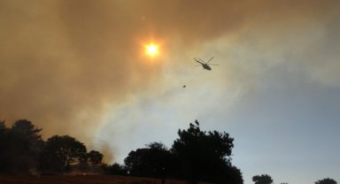 Orman yangınlarında 2 tutuklama