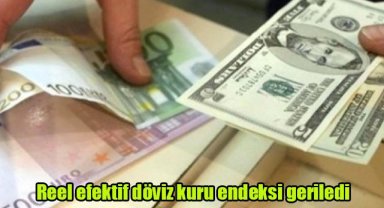Reel efektif döviz kuru endeksi geriledi
