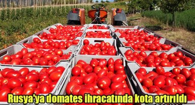 Rusya'ya domates ihracatında kota artırıldı
