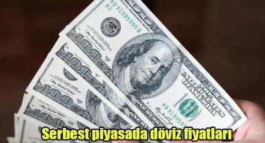 Serbest piyasada döviz fiyatları