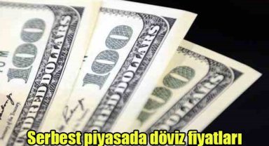 Serbest piyasada döviz fiyatları