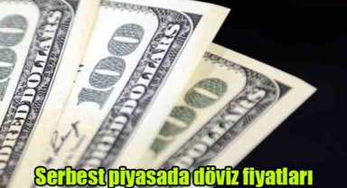 Serbest piyasada döviz fiyatları