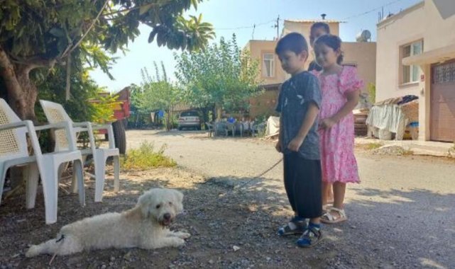 7 yaşındaki Hifa'nın çalınan köpeği 'Çıtır', bulundu
