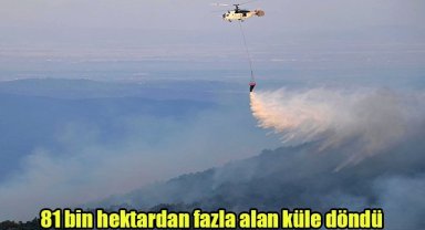 81 bin hektardan fazla alan küle döndü