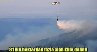 81 bin hektardan fazla alan küle döndü