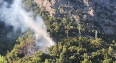 Adana Feke'de orman yangını