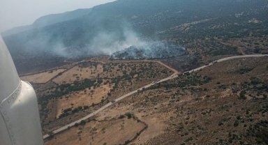 Aliağa’da orman yangını