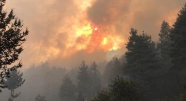Bakan Yumaklı: "Akseki yangını kontrol altında"