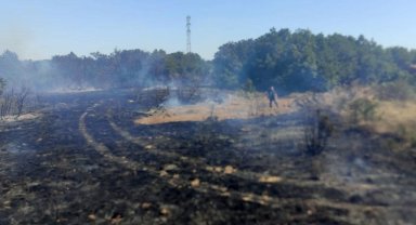 Biga’da ormanlık alanda çıkan yangın kontrol altına alındı