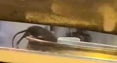 Börekçide mide bulandıran görüntü