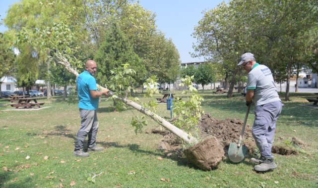 Bornova’da park yenileme hamlesi