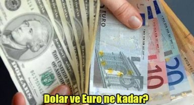Dolar ve Euro ne kadar?
