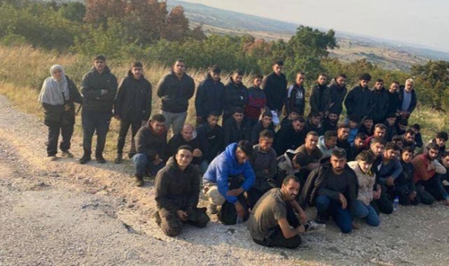 Edirne’de 53 kaçak göçmen yakalandı